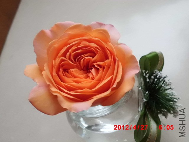 CIMG0560.JPG