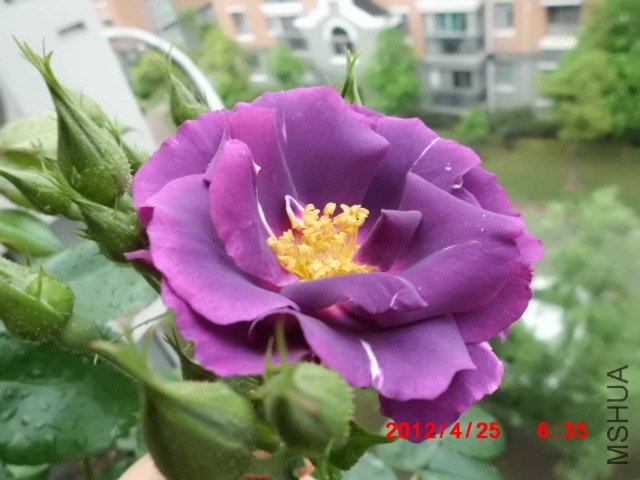 CIMG0524.JPG