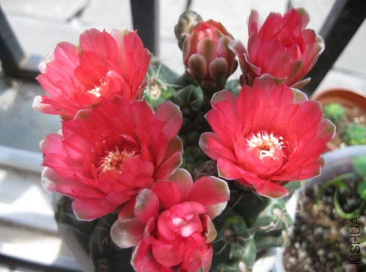 QQ��ͼ20120428131415.jpg