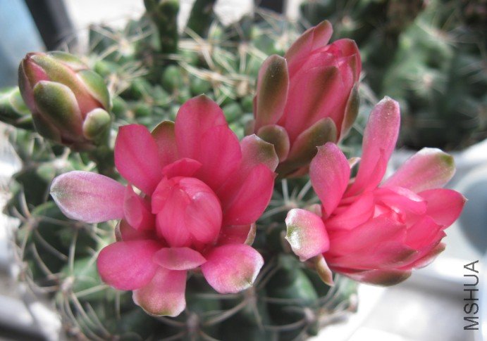QQ��ͼ20120428131516.jpg