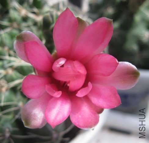 QQ��ͼ20120428131507.jpg