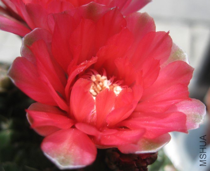 QQ��ͼ20120428131455.jpg