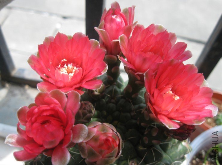 QQ��ͼ20120428131443.jpg