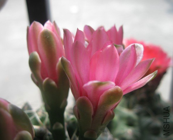 QQ��ͼ20120428131527.jpg
