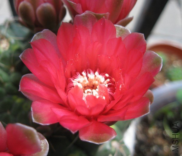 QQ��ͼ20120428131430.jpg