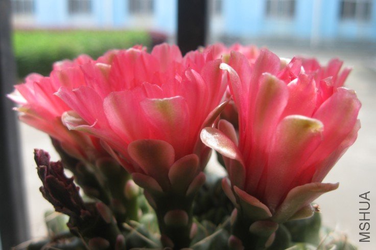 QQ��ͼ20120428131552.jpg