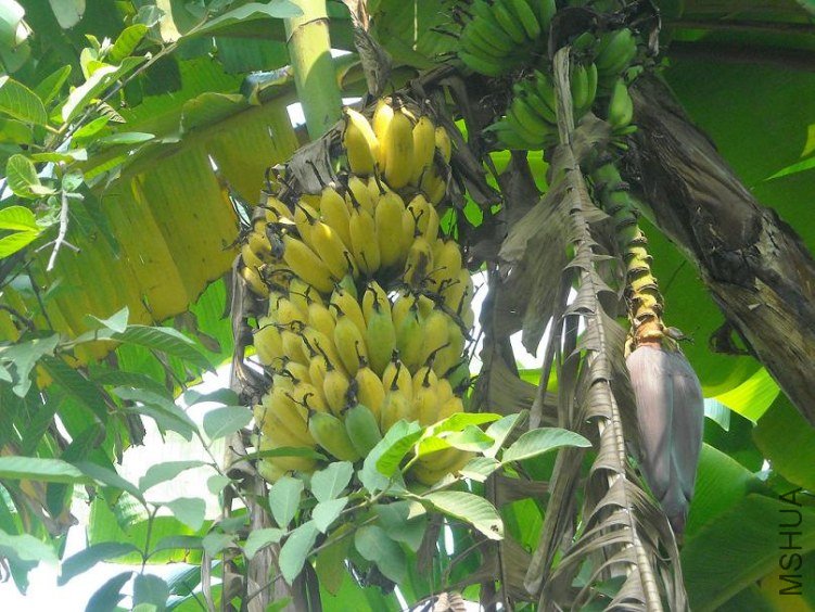 ��Ƭ 090.jpg