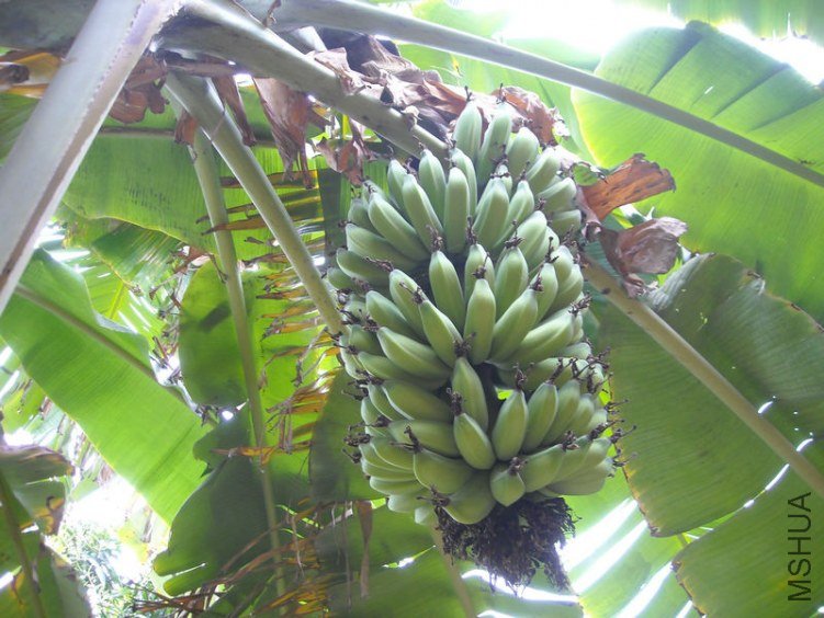 ��Ƭ 005.jpg