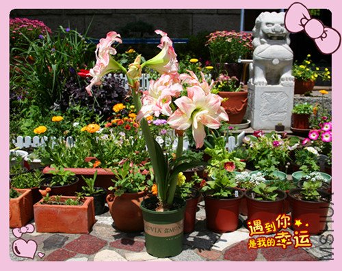 ��Ƭ 001_������1.jpg