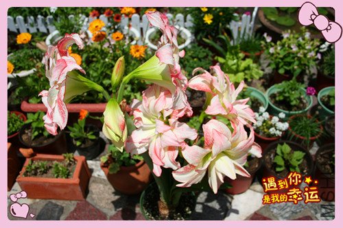 ��Ƭ 002_������2.jpg