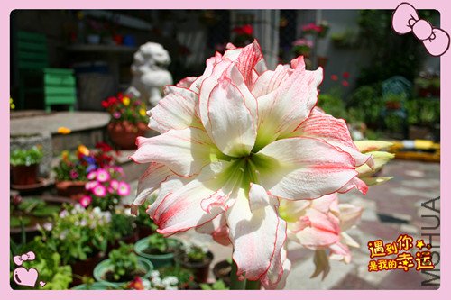 ��Ƭ 003_����3.jpg