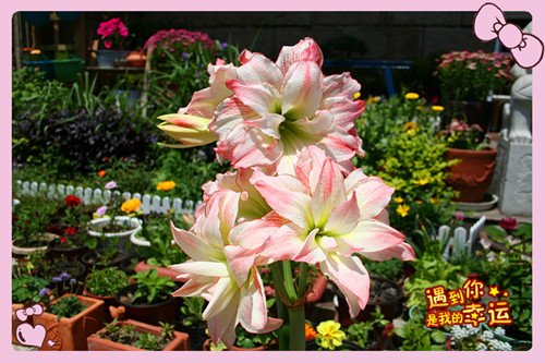 ��Ƭ 004_����4.jpg