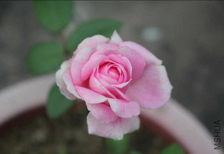 2012-04-28_185945.jpg