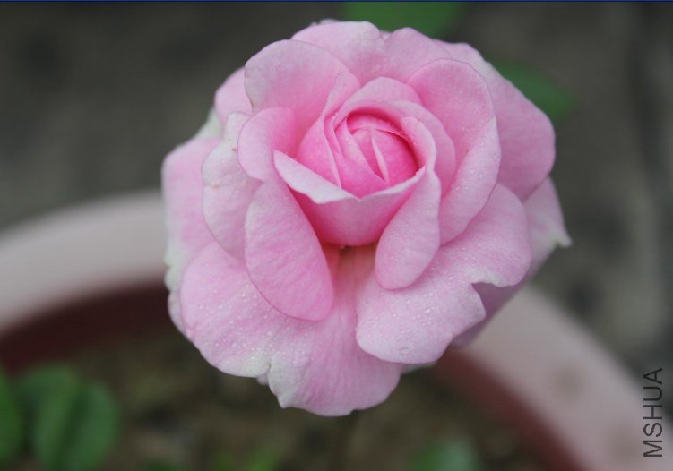 2012-04-28_190006.jpg