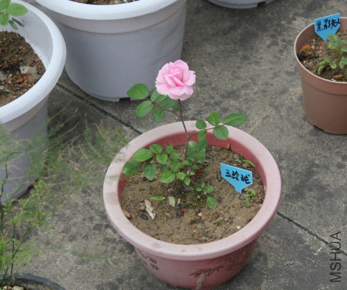 2012-04-28_190047.jpg