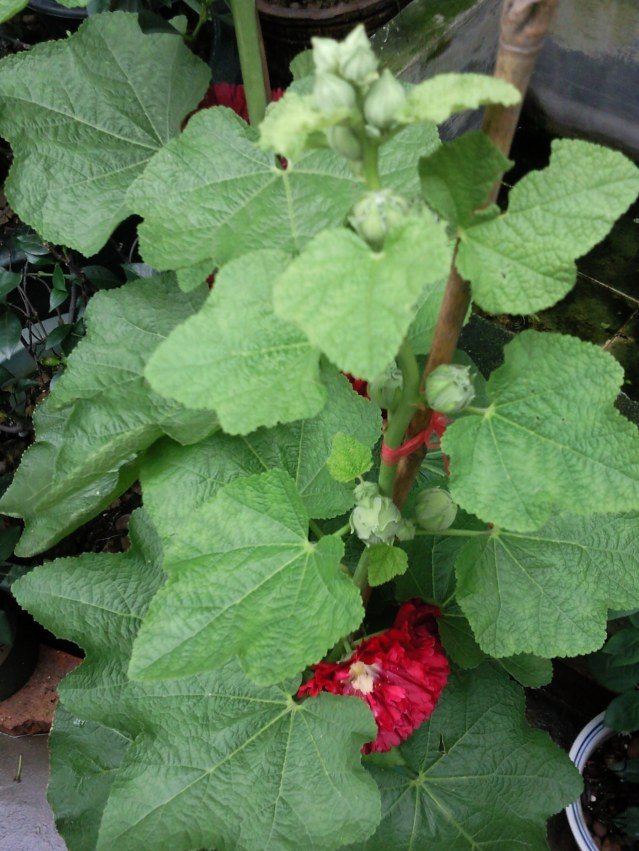 ��Ƭ0230.jpg