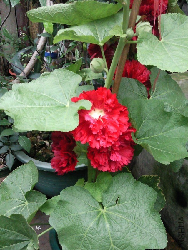 ��Ƭ0228.jpg
