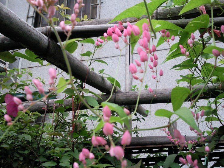 ��Ƭ0223.jpg