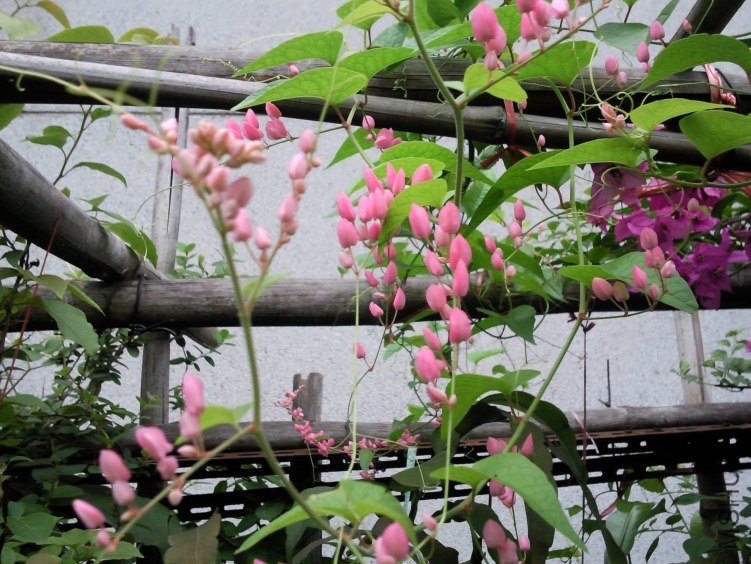 ��Ƭ0224.jpg