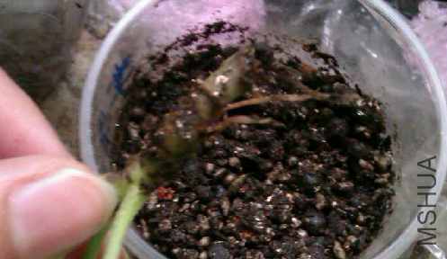 QQ��ͼ20120428210118.png