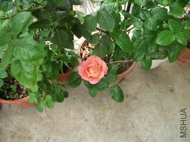 ��Ƭ 069.jpg