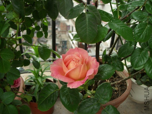��Ƭ 057.jpg