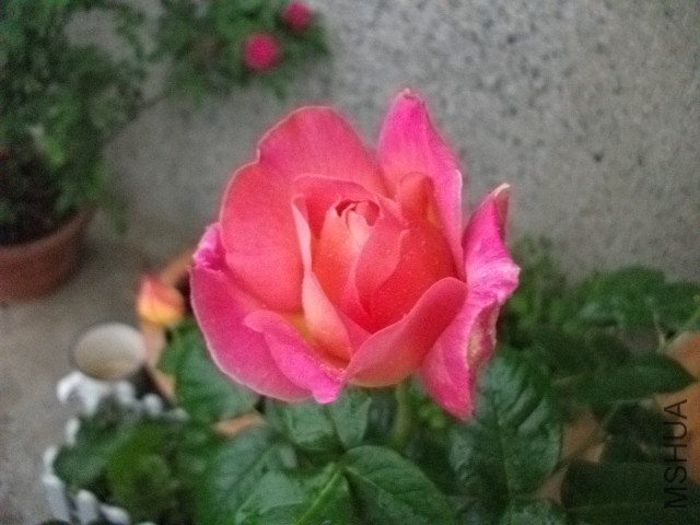 ��Ƭ 098.jpg
