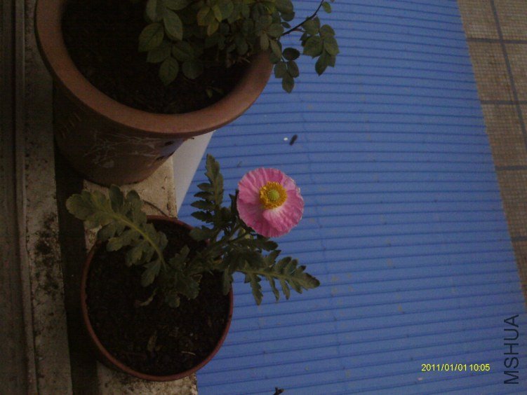IMAG0743.JPG