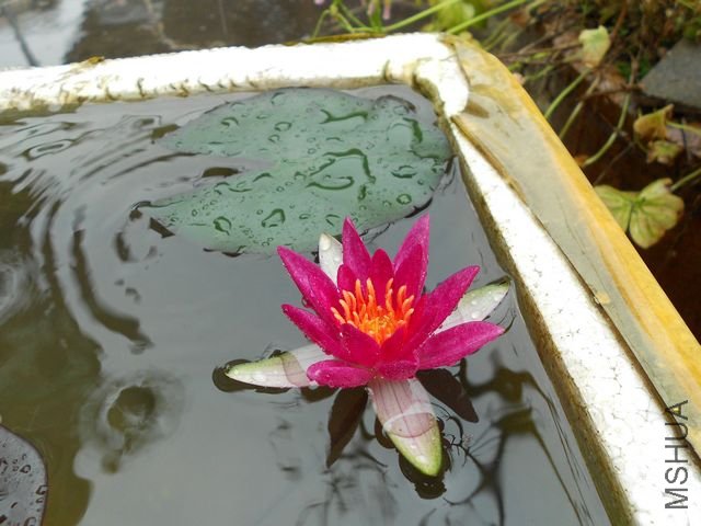 ���� 1253.jpg