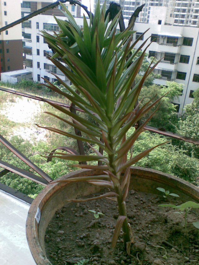 20120429.jpg