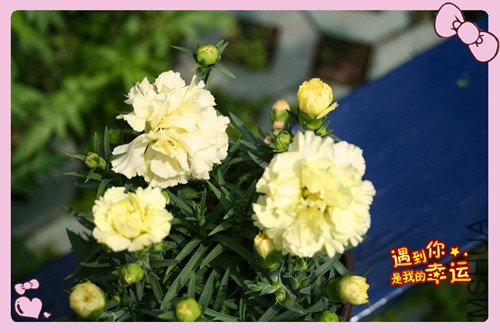 ��Ƭ 077_������1.jpg