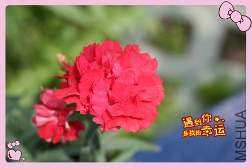 ��Ƭ 082_������3.jpg