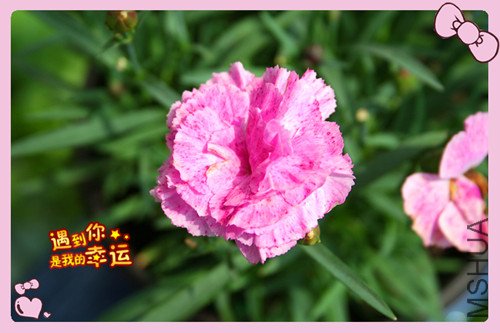 ��Ƭ 079_������2.jpg