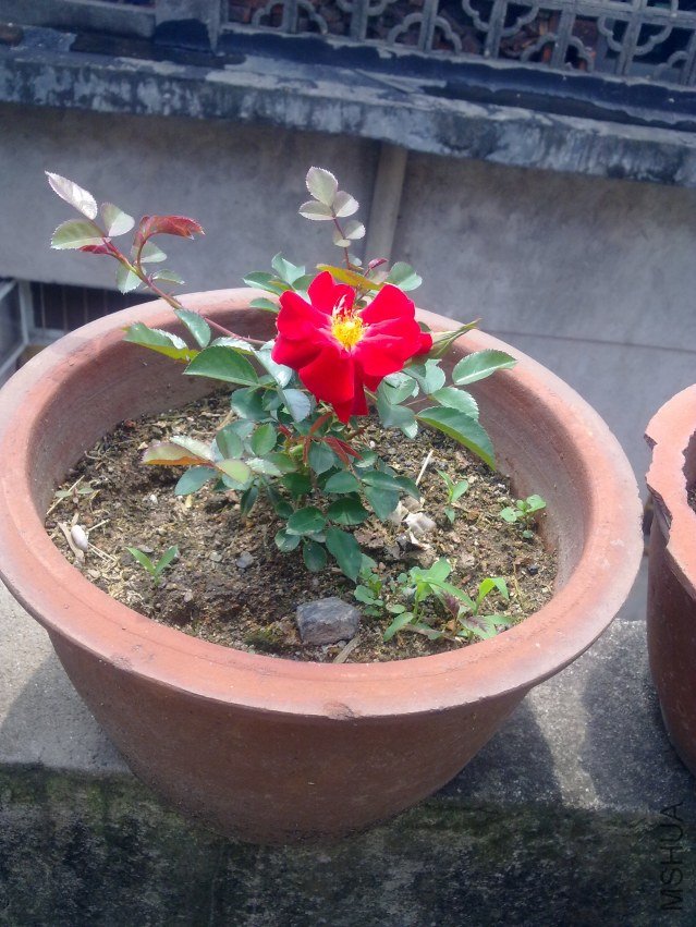 201204291019.jpg