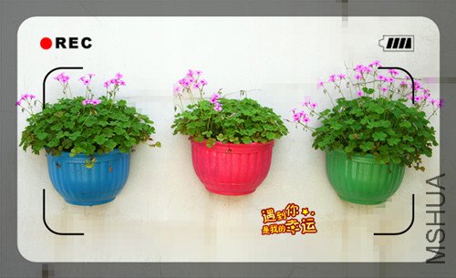 ��Ƭ 033_����5.jpg