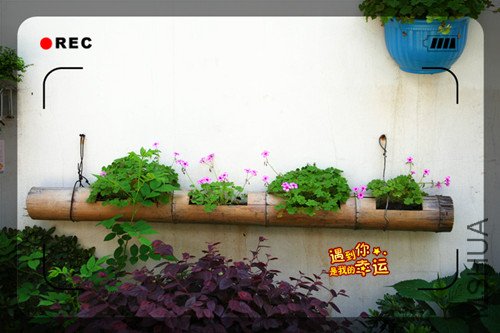 ��Ƭ 035_����6.jpg