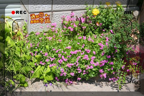 ��Ƭ 047_����2.jpg