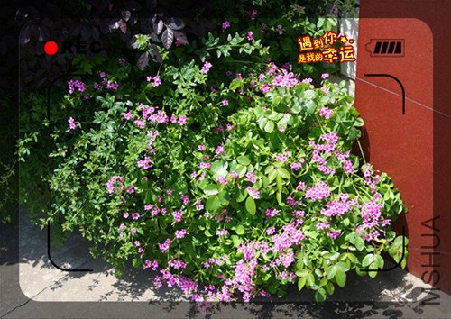 ��Ƭ 048_����3.jpg