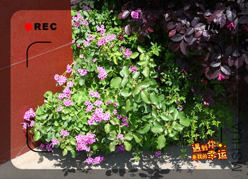 ��Ƭ 049_����4.jpg