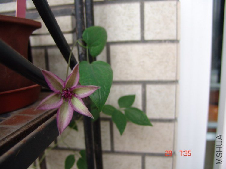 DSC07434.JPG