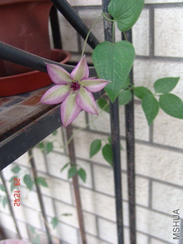 DSC07457.jpg