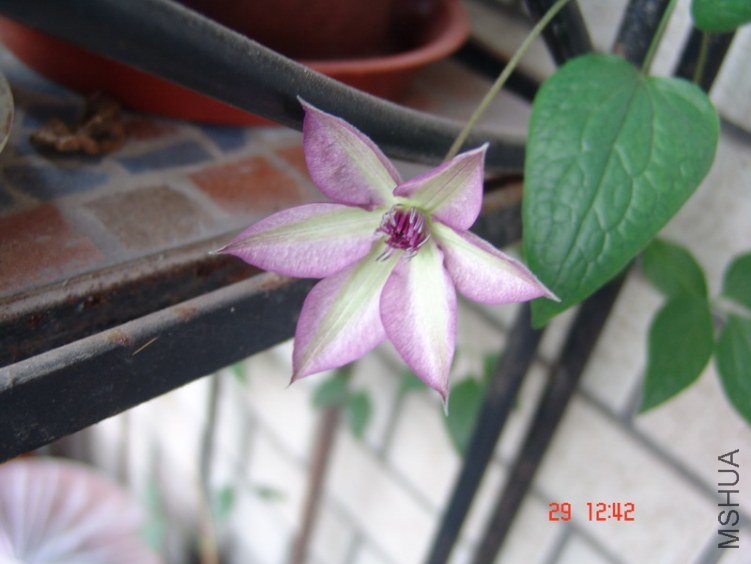 DSC07456.JPG