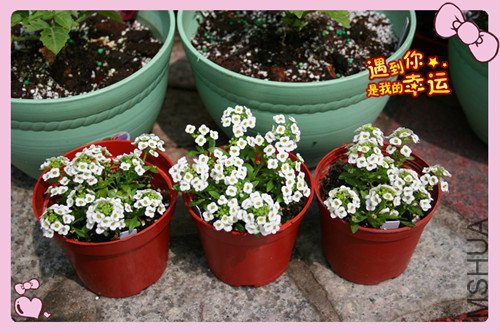 ��Ƭ 069_������1.jpg