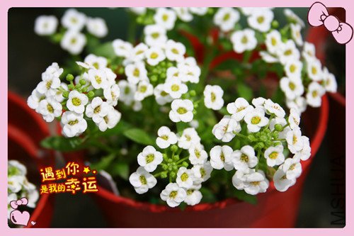 ��Ƭ 070_������2.jpg