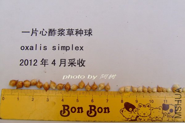 2012-0420(076).jpg