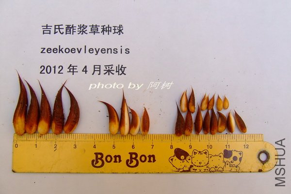2012-0420(074).jpg