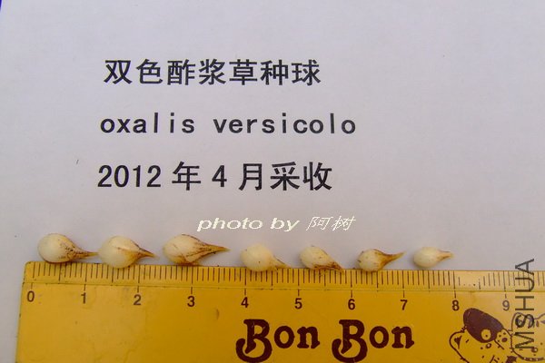 2012-0420(073).jpg