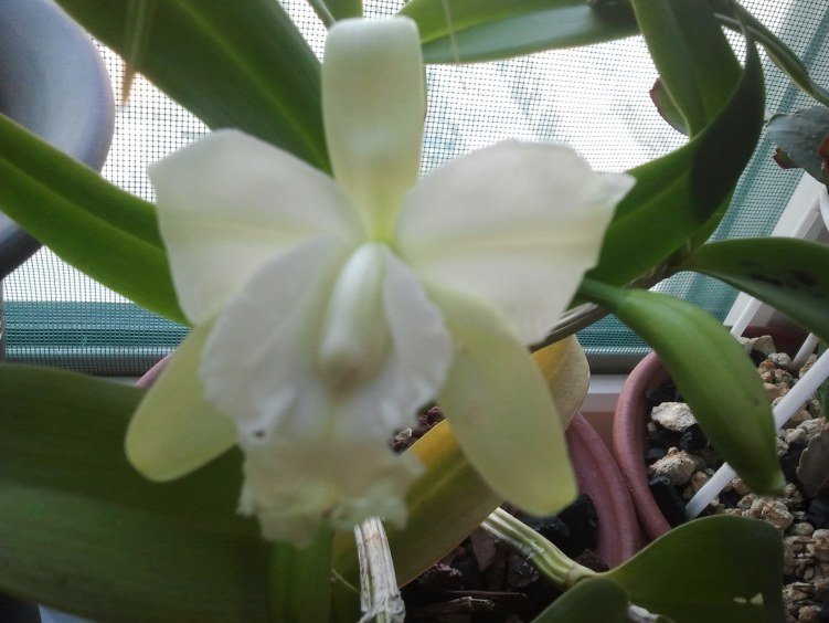 2012-04-29 17.26.59.jpg