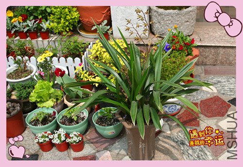 ��Ƭ 147_������1.jpg