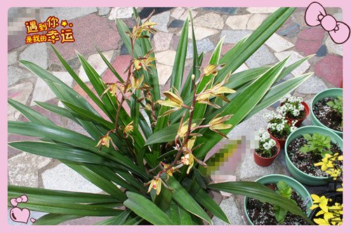 ��Ƭ 148_������2.jpg